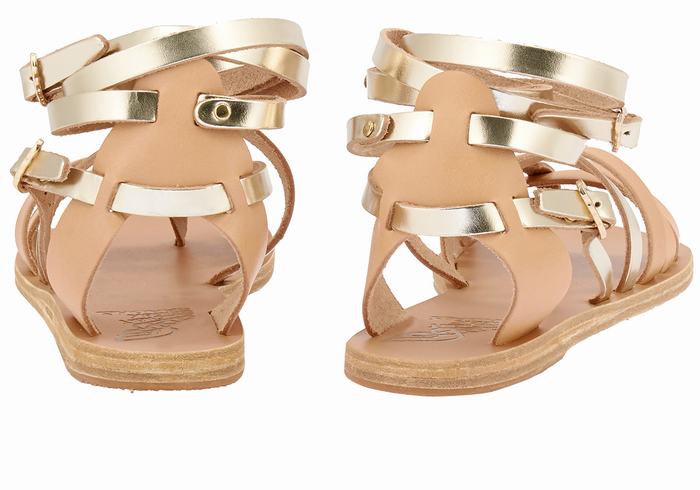 Sandales De Gladiateur Ancient Greek Sandals Satira Leather   | XPC-0899873